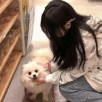 宝宝巴士游乐园手机游戏(又名奇妙游乐园世界)下载